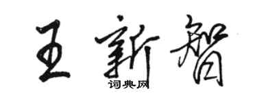 駱恆光王新智行書個性簽名怎么寫