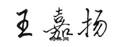 駱恆光王嘉揚行書個性簽名怎么寫