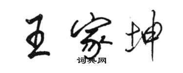 駱恆光王家坤行書個性簽名怎么寫