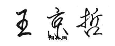 駱恆光王京哲行書個性簽名怎么寫
