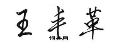 駱恆光王豐革行書個性簽名怎么寫