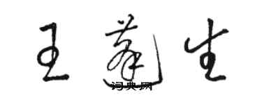 駱恆光王蓬生草書個性簽名怎么寫