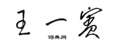 駱恆光王一賓草書個性簽名怎么寫