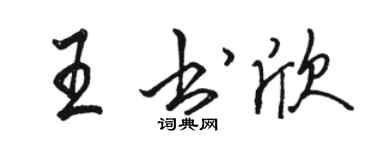駱恆光王書欣行書個性簽名怎么寫
