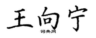 丁謙王向寧楷書個性簽名怎么寫