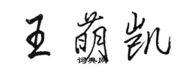 駱恆光王萌凱行書個性簽名怎么寫