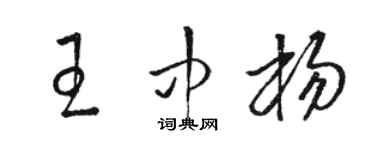 駱恆光王中楊草書個性簽名怎么寫
