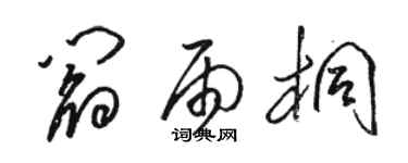 駱恆光閻雨桐草書個性簽名怎么寫
