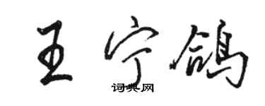 駱恆光王寧鴿行書個性簽名怎么寫