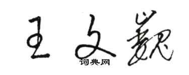 駱恆光王文巍草書個性簽名怎么寫