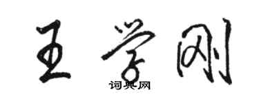 駱恆光王學剛行書個性簽名怎么寫