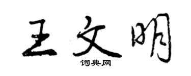 曾慶福王文明行書個性簽名怎么寫