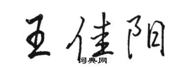 駱恆光王佳陽行書個性簽名怎么寫
