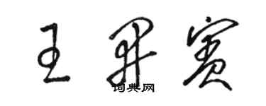 駱恆光王開賓草書個性簽名怎么寫