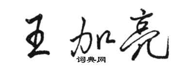 駱恆光王加亮行書個性簽名怎么寫