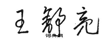 駱恆光王舒亮草書個性簽名怎么寫