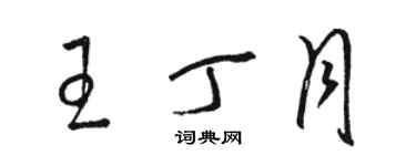 駱恆光王丁月草書個性簽名怎么寫