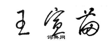 駱恆光王宣苗草書個性簽名怎么寫