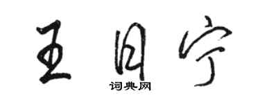 駱恆光王日寧行書個性簽名怎么寫