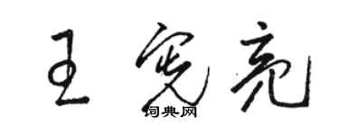 駱恆光王憲亮草書個性簽名怎么寫