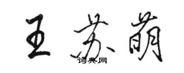 駱恆光王蘇萌行書個性簽名怎么寫