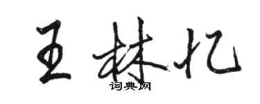 駱恆光王林憶行書個性簽名怎么寫