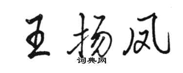 駱恆光王揚鳳行書個性簽名怎么寫
