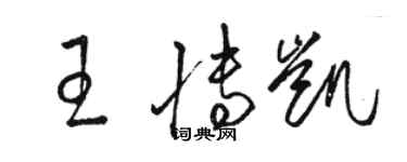 駱恆光王博凱草書個性簽名怎么寫