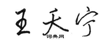 駱恆光王夭寧行書個性簽名怎么寫