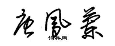 朱錫榮唐鳳蘭草書個性簽名怎么寫