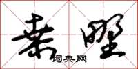 朱錫榮桑野草書怎么寫