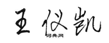 駱恆光王儀凱行書個性簽名怎么寫