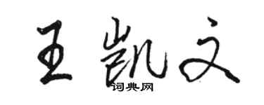 駱恆光王凱文行書個性簽名怎么寫