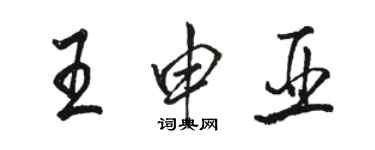 駱恆光王申亞行書個性簽名怎么寫