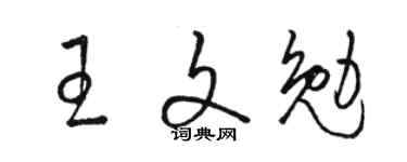 駱恆光王文勉草書個性簽名怎么寫