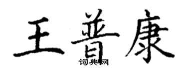 丁謙王普康楷書個性簽名怎么寫