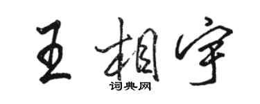 駱恆光王相宇行書個性簽名怎么寫