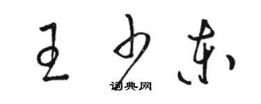 駱恆光王少東草書個性簽名怎么寫