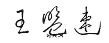 駱恆光王盟速草書個性簽名怎么寫