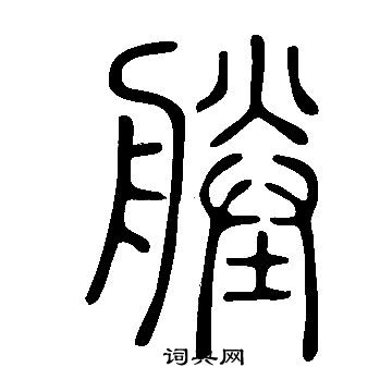 寫的說文解字