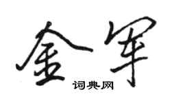 駱恆光金軍行書個性簽名怎么寫