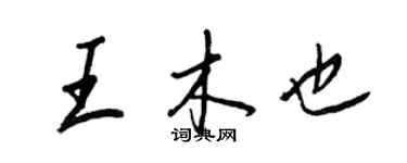王正良王木也行書個性簽名怎么寫