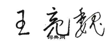 駱恆光王亮魏草書個性簽名怎么寫