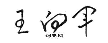 駱恆光王向軍草書個性簽名怎么寫