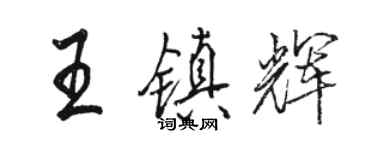 駱恆光王鎮輝行書個性簽名怎么寫