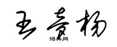 朱錫榮王夢楊草書個性簽名怎么寫