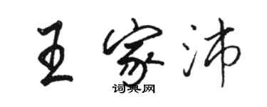 駱恆光王家沛行書個性簽名怎么寫