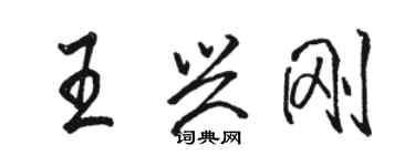 駱恆光王興剛行書個性簽名怎么寫