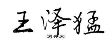 曾慶福王澤猛行書個性簽名怎么寫