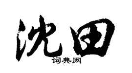 胡問遂沈田行書個性簽名怎么寫